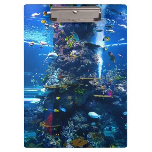 Living Coral Reef with Fish Clipboard