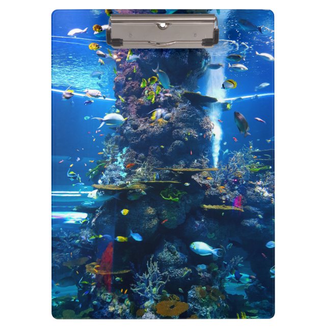 Living Coral Reef with Fish Clipboard (Front)