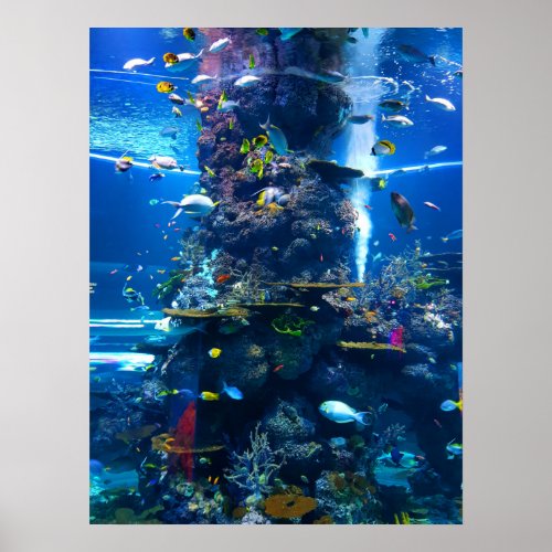 Living Coral Reef with Fish Poster