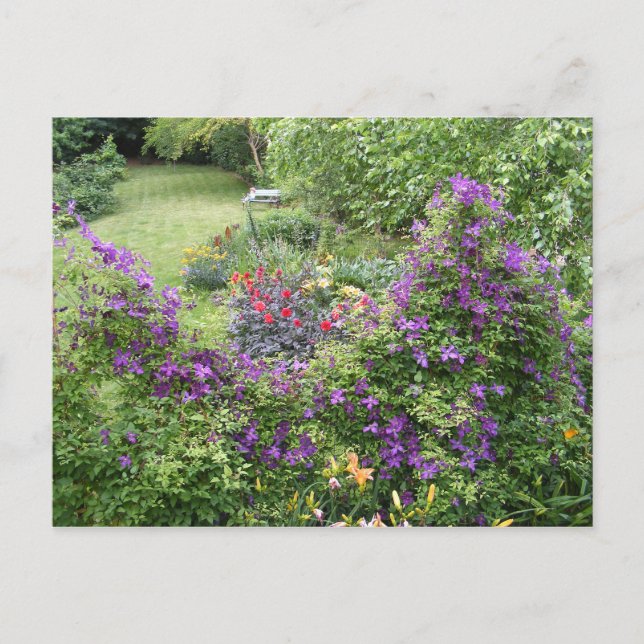 Living Fence ~ postcard (Front)