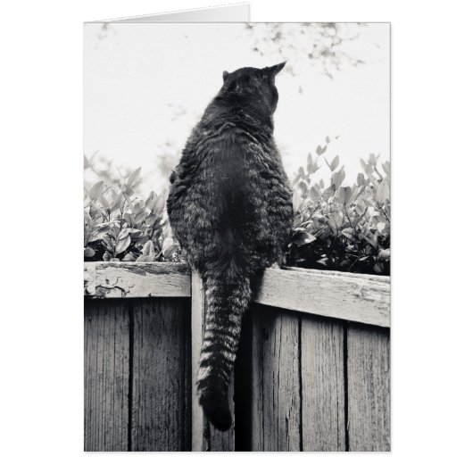 Living Gargoyle (Front)