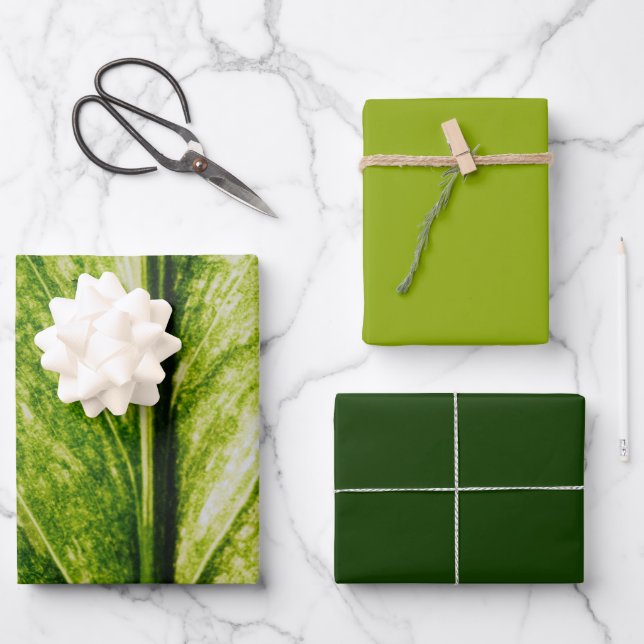 Living Green Eco Friendly Large Gift Bag Wrapping Paper Sheets (Front)