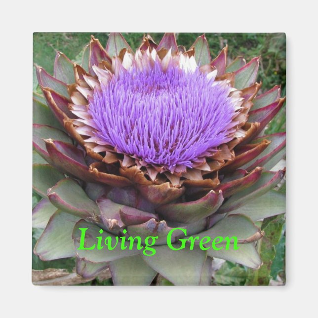 Living Green Magnet (Front)