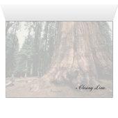 Living Mountain Cards (Inside Horizontal (Bottom))