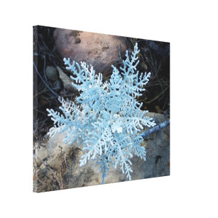 Living Snowflake - Canvas Print