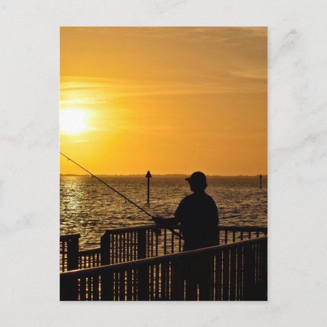 Living the Dream in Florida Postcard (Front)