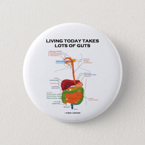 Living Today Takes Lots Of Guts Digestive System Button