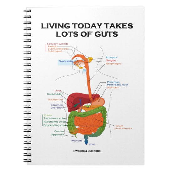 Living Today Takes Lots Of Guts Digestive System Notebook