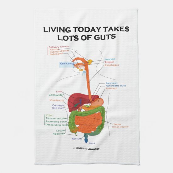 Living Today Takes Lots Of Guts Digestive System Towel