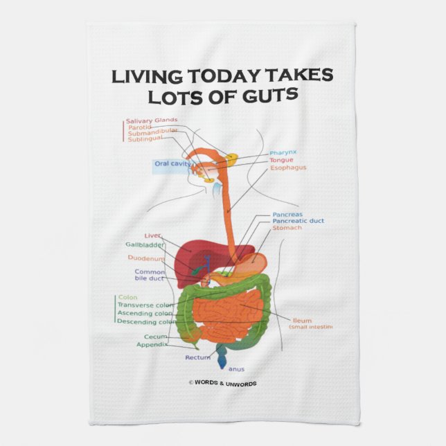 Living Today Takes Lots Of Guts Digestive System Towel (Vertical)