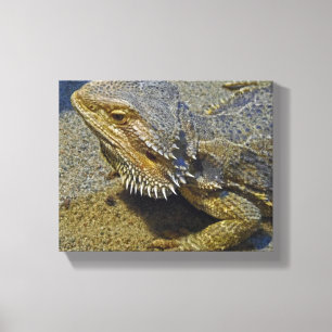 Living Under Fire - Bearded Dragon Canvas Print