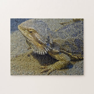 Living Under Fire - Bearded Dragon Jigsaw Puzzle