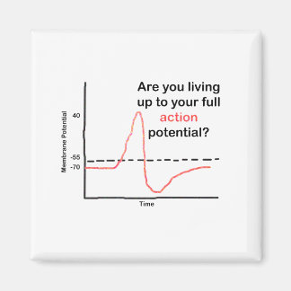Living Up To Your Full Potential Magnet