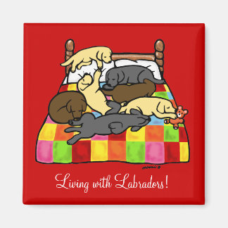 Living with Labradors Cartoon Magnet
