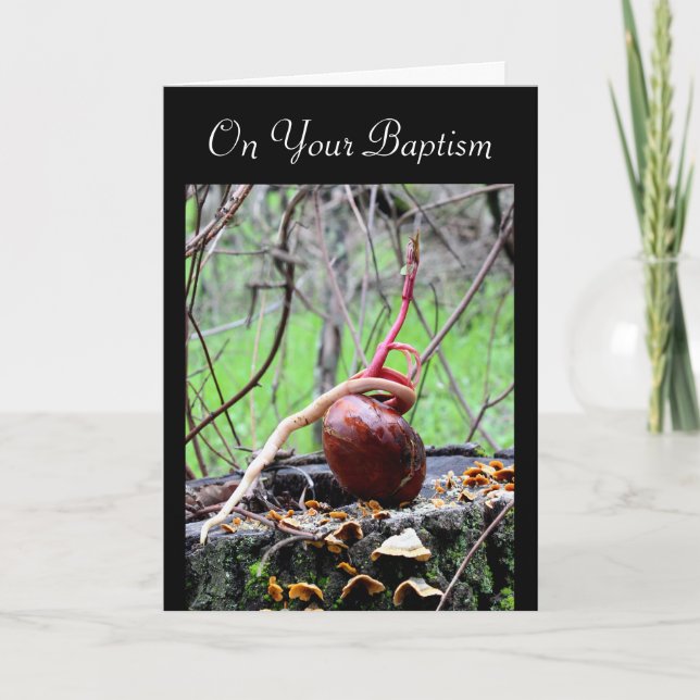 Living Word Buckeye Tree Sprout Adult Baptism Card (Front)