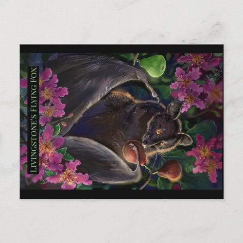 Livingstone Flying Fox Postcard