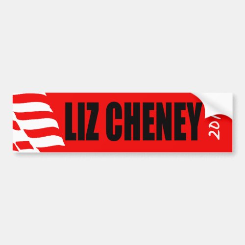 LIZ CHENEY BUMPER STICKER