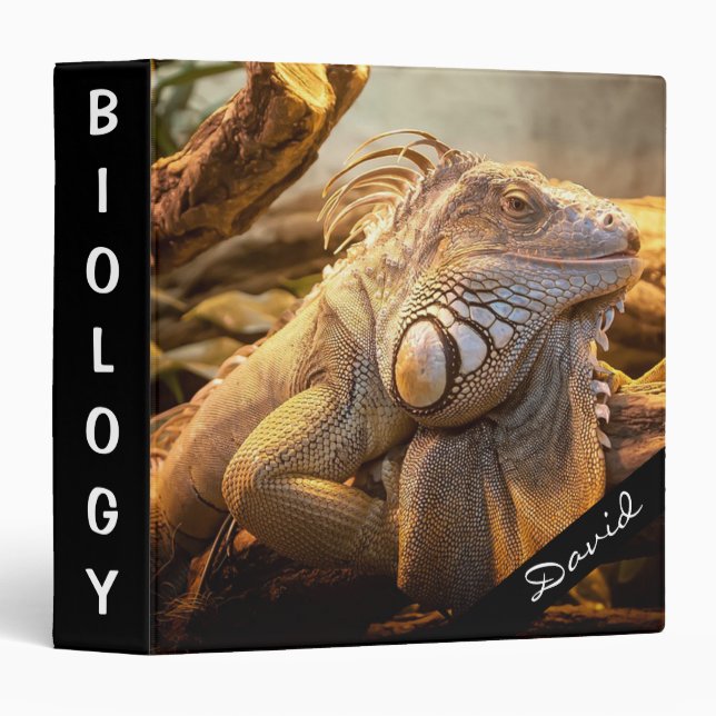 Lizard 3 Ring Binder (Front/Spine)