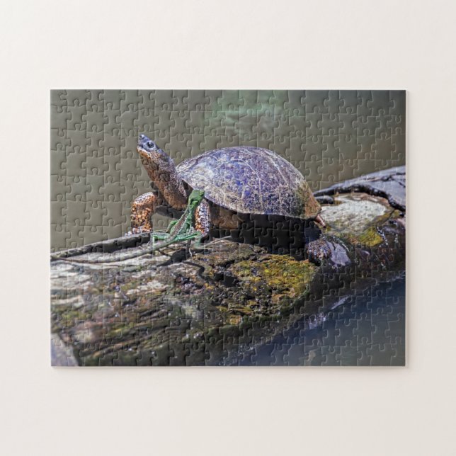 Lizard and River Turtle at Tortuguero - Costa Rica Jigsaw Puzzle (Horizontal)