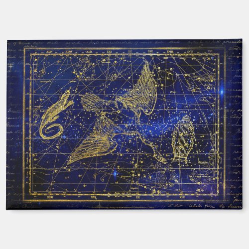 lizard and swan constellation magnet