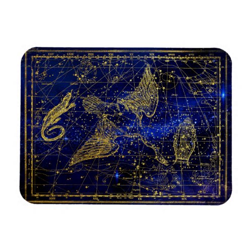 lizard and swan constellation magnet