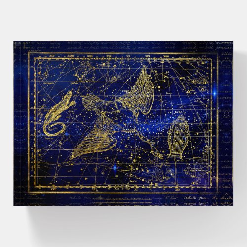 lizard and swan constellation paperweight