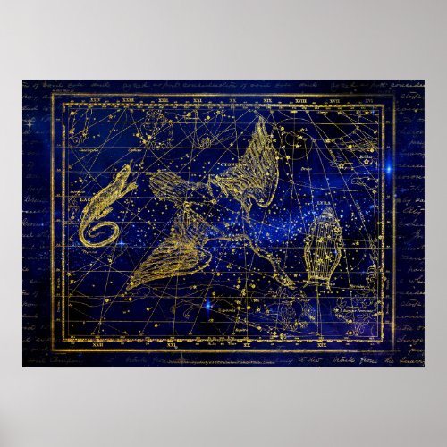 lizard and swan constellation poster