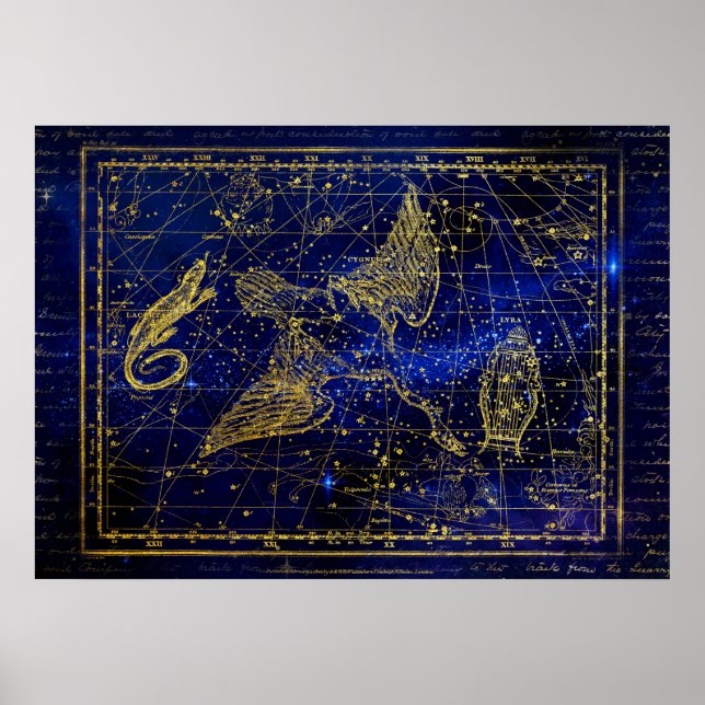 lizard and swan constellation poster (Front)