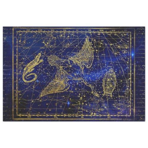 lizard and swan constellation tissue paper