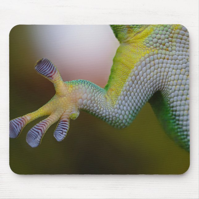 Lizard Arm Mouse Pad (Front)