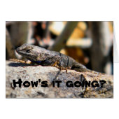 Lizard asking "how's it going" cards (Front Horizontal)