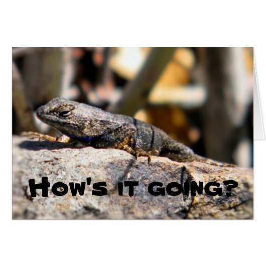 Lizard asking "how's it going" cards (Front Horizontal)