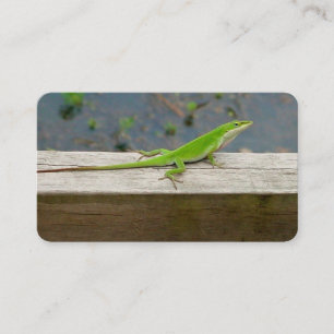 Lizard Business Cards