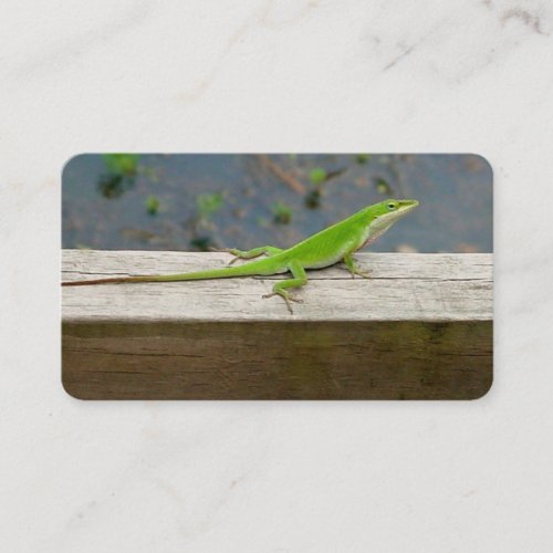 Lizard Business Cards