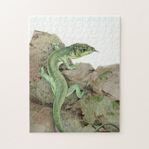 Lizard by E J Detmold Jigsaw Puzzle
