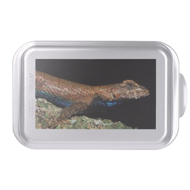 lizard cake pan (Front)