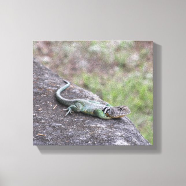 Lizard  canvas print (Front)