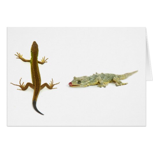 lizard cards (Front Horizontal)