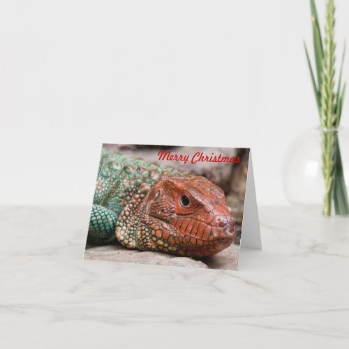 Lizard Christmas Holiday Card