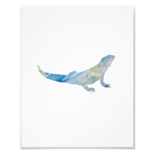 Lizard Colorful Watercolor Photo Print