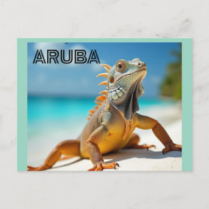 lizard enjoying the beach in aruba holiday postcard