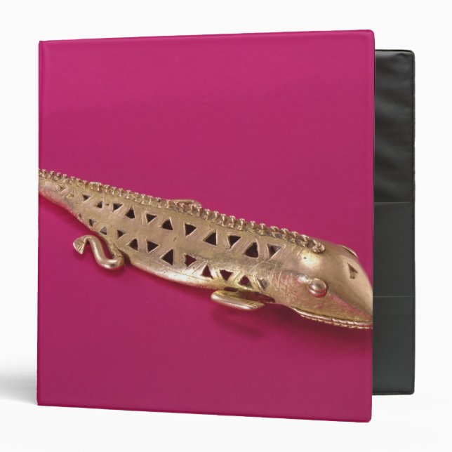 Lizard, from Colombia 3 Ring Binder (Front/Inside)