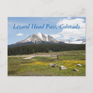 Lizard Head Pass, Colorado Postcard
