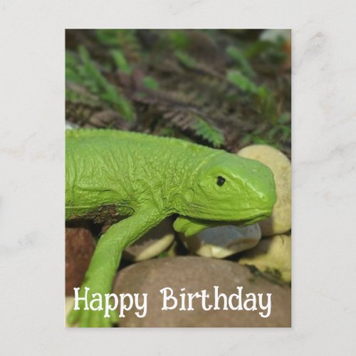 Lizard in the Garden Happy Birthday Postcard