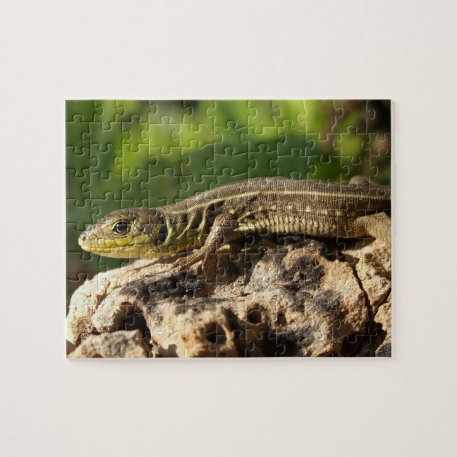 Lizard Jigsaw Puzzle (Horizontal)
