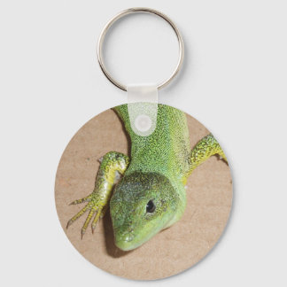 Lizard Keychain
