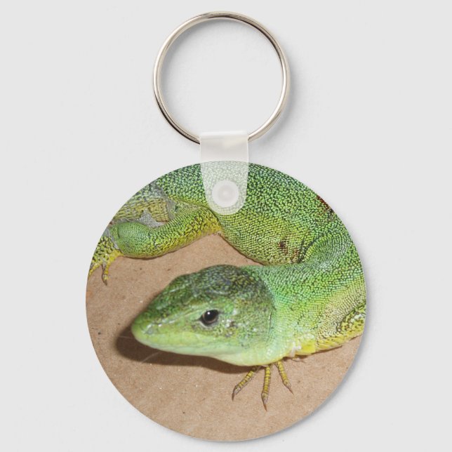 Lizard Keychain (Front)