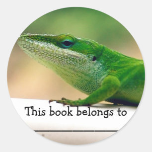 Lizard Lover Anole Book Sticker