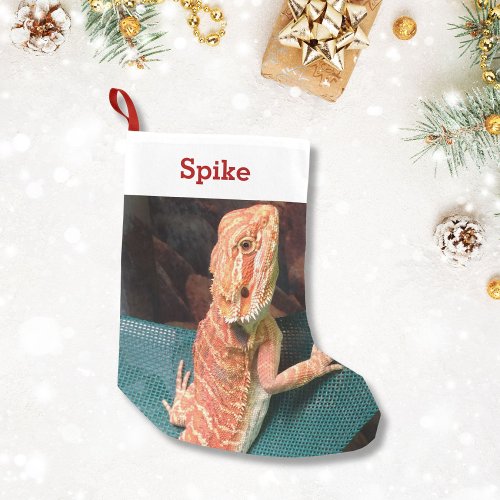 Lizard Lover Pet Photo and Name Personalized Small Christmas Stocking