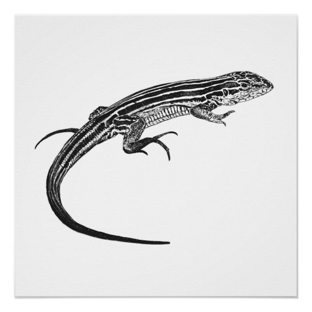 Lizard Monochrome Print (Front)